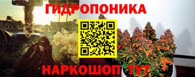 гидропоника Гусь-Хрустальный