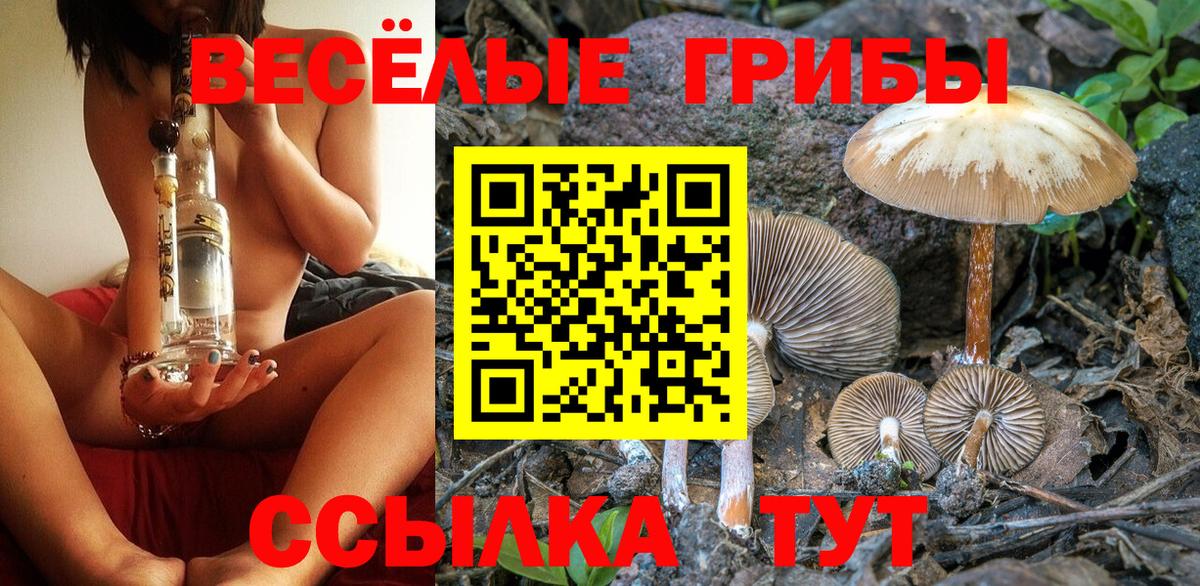 Псилоцибиновые грибы мицелий Минусинск
