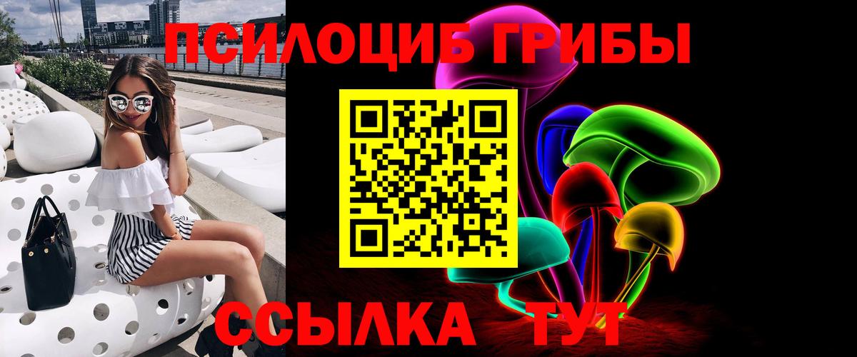 Галлюциногенные грибы Cubensis  Вход с VPN  Минусинск 