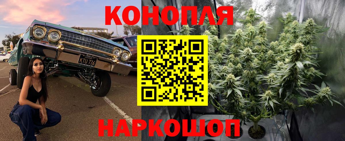 Канабис ГИДРОПОН  Шишки марихуана индика  Каннабис Bruce Banner  Вход с VPN  Шишки марихуана планчик  Минусинск 